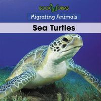 Cover image for Sea Turtles