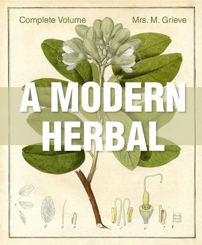 Cover image for A Modern Herbal: The Complete Edition