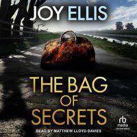 Cover image for The Bag of Secrets
