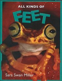 Cover image for All Kinds of Feet