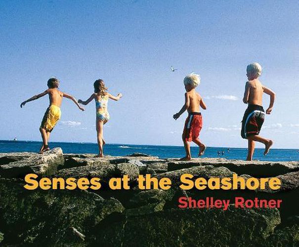 Cover image for Senses at the Sea Shore