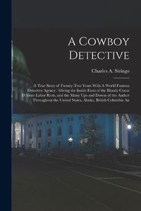 Cover image for A Cowboy Detective