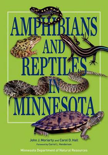 Cover image for Amphibians and Reptiles in Minnesota