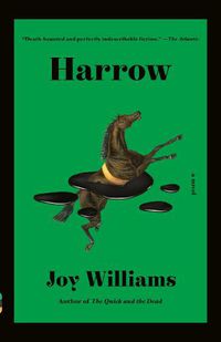 Cover image for Harrow: A novel