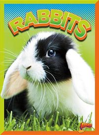 Cover image for Rabbits