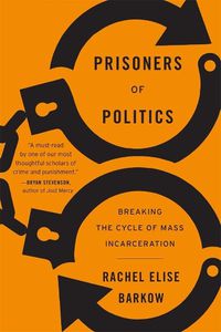 Cover image for Prisoners of Politics: Breaking the Cycle of Mass Incarceration