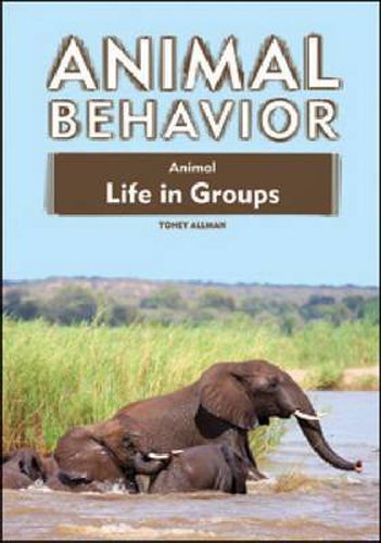 Cover image for Animal Life in Groups