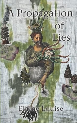 Cover image for A Propagation of Lies