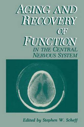 Cover image for Aging and Recovery of Function in the Central Nervous System