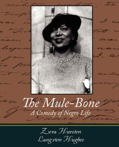 Cover image for The Mule-Bone