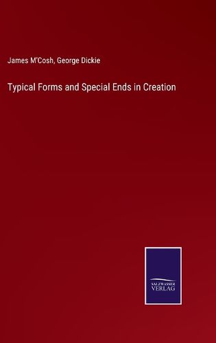 Cover image for Typical Forms and Special Ends in Creation