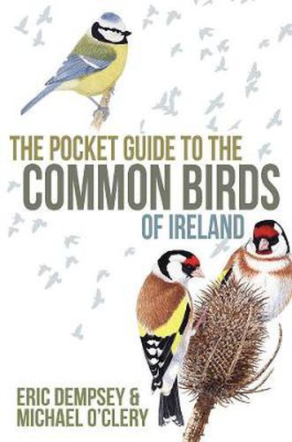 Cover image for The Pocket Guide to the Common Birds of Ireland