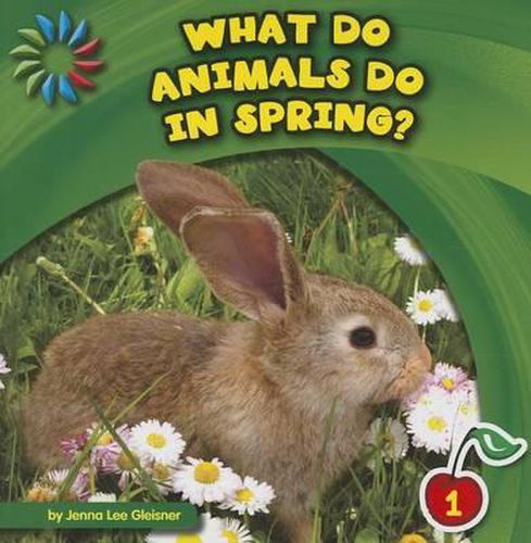 Cover image for What Do Animals Do in Spring?