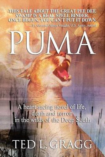 Cover image for Puma