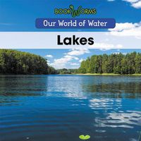 Cover image for Lakes