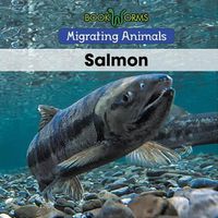 Cover image for Salmon