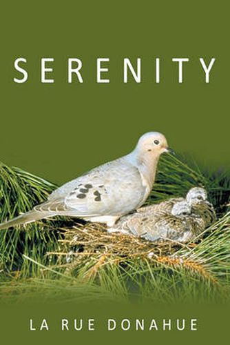 Cover image for Serenity