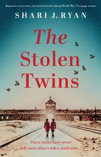 Cover image for The Stolen Twins