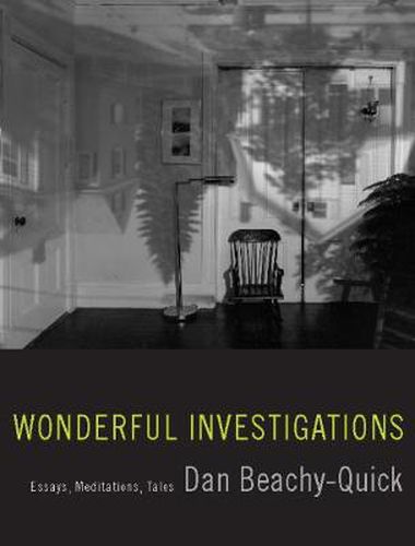 Wonderful Investigations: Essays, Meditations, Tales