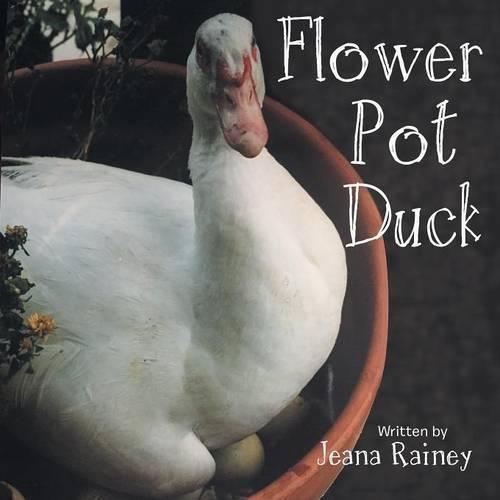 Cover image for Flower Pot Duck