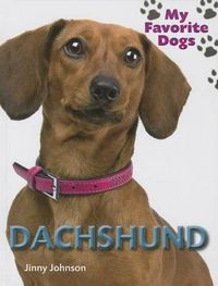 Cover image for Daschund