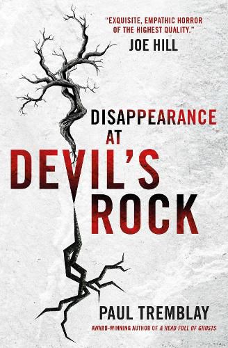 Cover image for Disappearance at Devil's Rock: A Novel