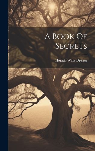 Cover image for A Book Of Secrets