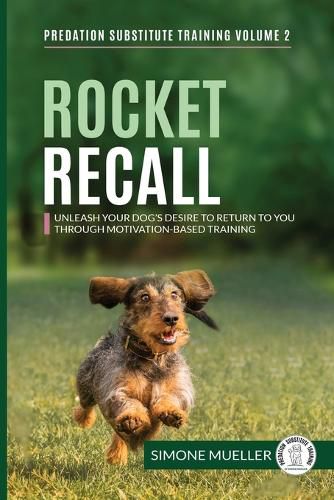 Cover image for Rocket Recall