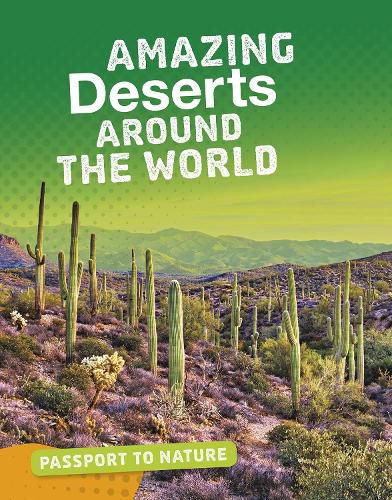 Cover image for Amazing Deserts Around the World