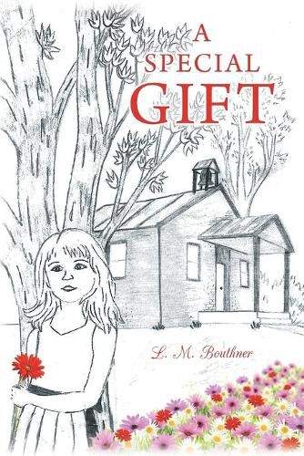 Cover image for A Special Gift