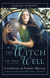 Cover image for The Witch in the Well