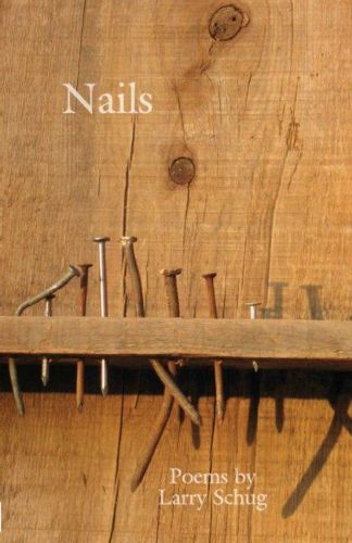 Cover image for Nails