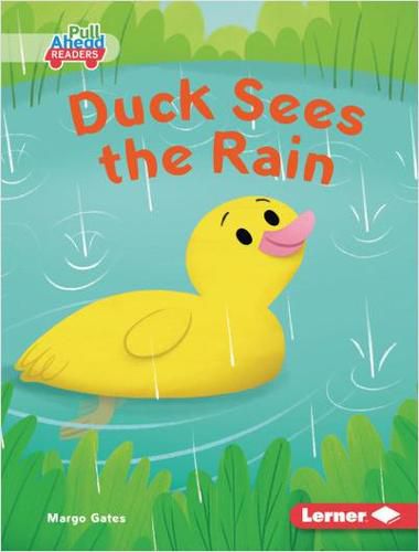 Duck Sees the Rain