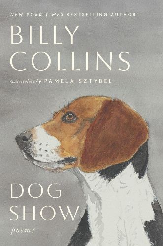 Cover image for Dog Show