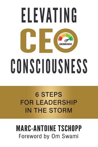 Elevating CEO Consciousness