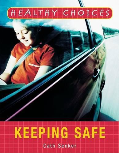 Cover image for Keeping Safe