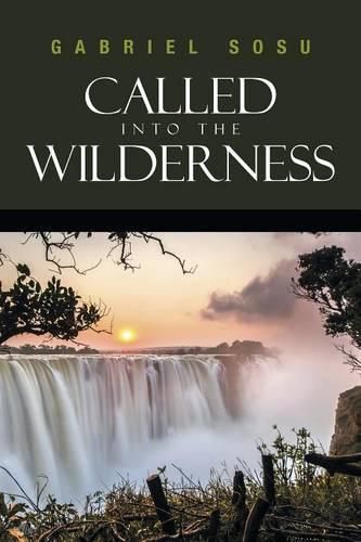 Cover image for Called into the Wilderness