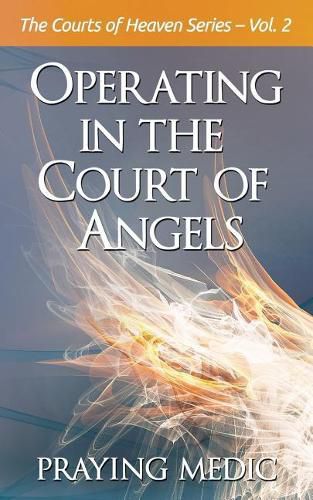 Cover image for Operating in the Court of Angels