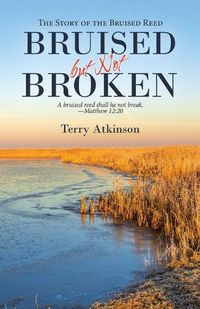 Cover image for Bruised but Not Broken: The Story of the Bruised Reed