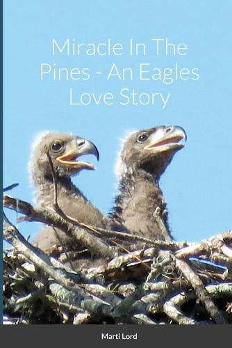 Cover image for Miracle In The Pines - An Eagles Love Story