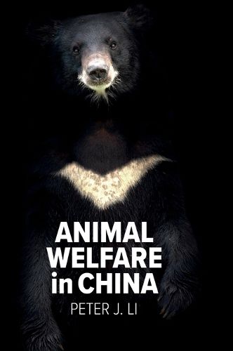 Cover image for Animal Welfare in China