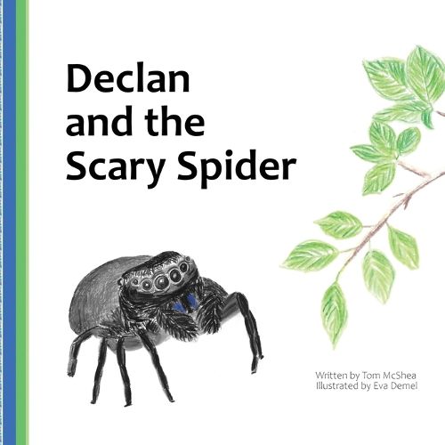 Cover image for Declan and the Scary Spider