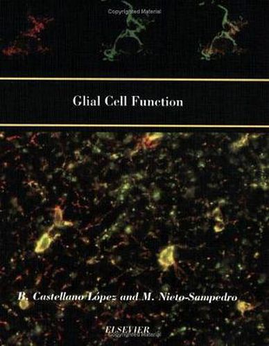 Cover image for Glial Cell Function (Paperback)