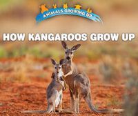 Cover image for How Kangaroos Grow Up