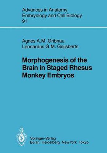 Cover image for Morphogenesis of the Brain in Staged Rhesus Monkey Embryos