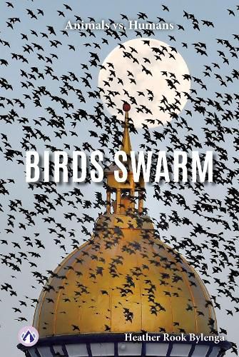 Cover image for Birds Swarm