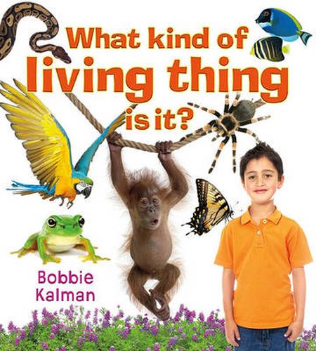 Cover image for What kind of living thing is it?