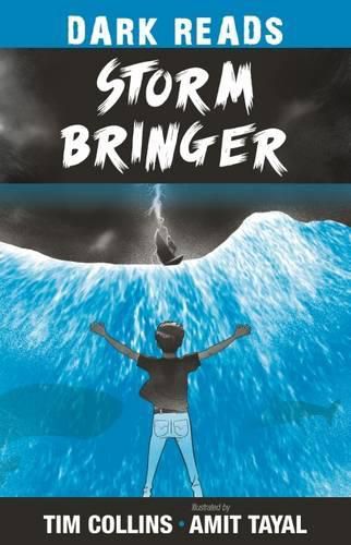 Cover image for Storm Bringer