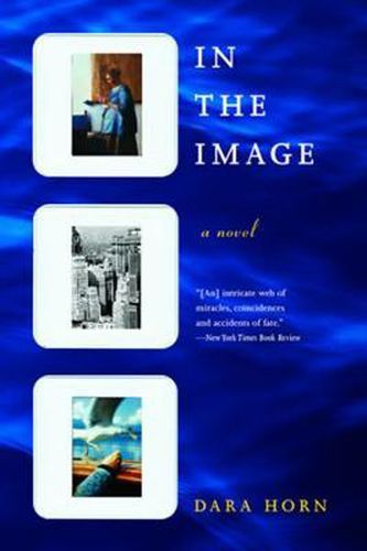 In the Image a Novel