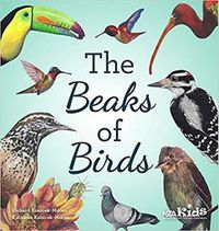 Cover image for The Beaks of Birds